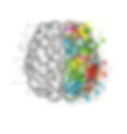 Brain with space ELISA RIVA.jpg